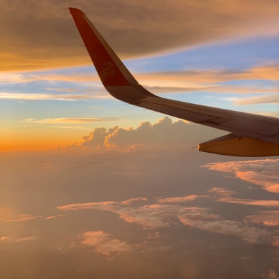 臭名昭著的水仙