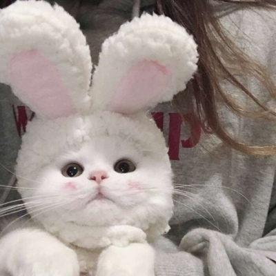 一周第七喜欢的星期一