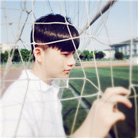 想养只猫狗和你