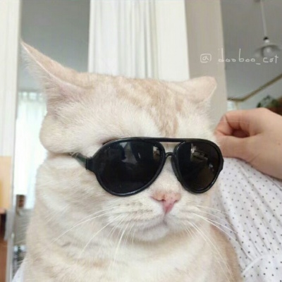 小寨卫生所吴彦祖